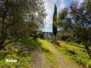 Acheter Terrain 497 m2 Poulx