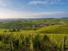 Vente Terrain Cormontreuil  51350 914 m2