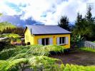 Location Maison Plaine-des-palmistes 974