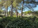 Annonce Vente Terrain Ollioules