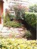 Annonce Location 3 pi�ces Appartement Bastia