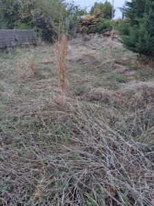 Vente Maison ALBI 