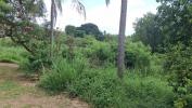 Vente Terrain Trois-rivieres  97114 966 m2