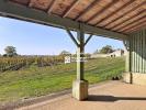 Acheter Maison Saint-emilion 520000 euros