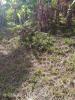 Annonce Vente Terrain Francois