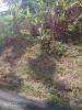 Acheter Terrain Francois Martinique
