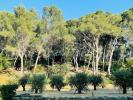 Acheter Prestige Maussane-les-alpilles 1940000 euros