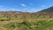 Acheter Terrain Mees 62000 euros