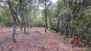 Vente Terrain Alata 20