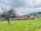 Acheter Terrain 4954 m2 Treignac