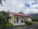 Location Maison Plaine-des-palmistes 974