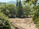 Acheter Maison Saint-hippolyte-du-fort 435000 euros