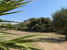 Acheter Maison Roquebrune-sur-argens Var