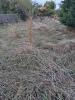 Acheter Maison 65 m2 Albi