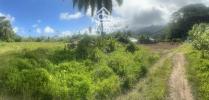 Annonce Vente Terrain Lepuix