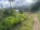Acheter Terrain Lepuix 295000 euros