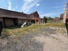 Annonce Vente 4 pi�ces Maison Avelin