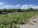 Land CARBET 