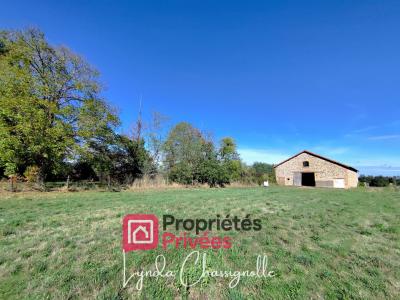 Vente Maison 3 pièces RIORGES 42153
