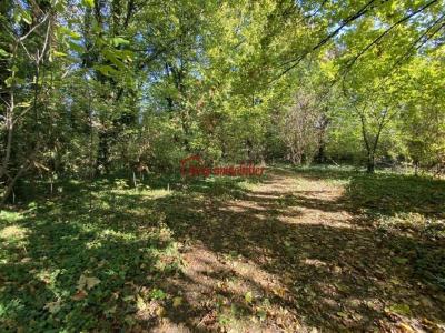 For sale Land ARCIS-SUR-AUBE  10