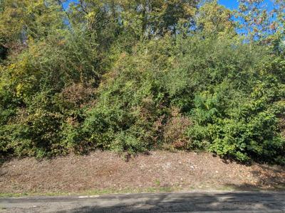 Vente Terrain MANTES-LA-VILLE 78200