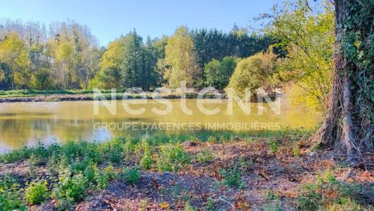 Vente Terrain CHEMERY 41700