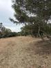 Annonce Vente Terrain Villeneuve-les-avignon