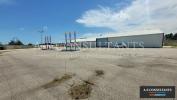 Louer Commerce 600 m2 Felines