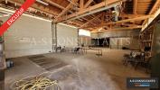 Location Commerce Felines 07