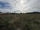 Land LOUPES 