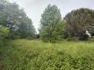 Vente Terrain Lignan-de-bordeaux 33