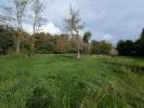 Annonce Vente Terrain Saint-caprais-de-bordeaux