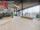 Location Local commercial Colomiers 31