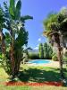 House LUCCIANA 
