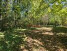Vente Terrain Arcis-sur-aube  10700 1555 m2