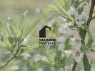 Annonce Vente 3 pi�ces Maison Bouilladisse