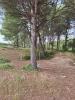 Annonce Vente Terrain Cheval-blanc