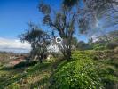 Acheter Maison Tourrettes-sur-loup 790000 euros