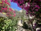 Annonce Vente 7 pi�ces Maison Arles
