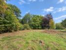 Annonce Vente Terrain Bois-le-roi