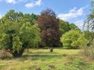 Acheter Terrain Bois-le-roi 65000 euros
