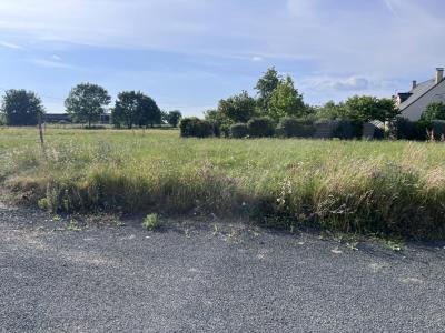 For sale Land MONTRELAIS  44