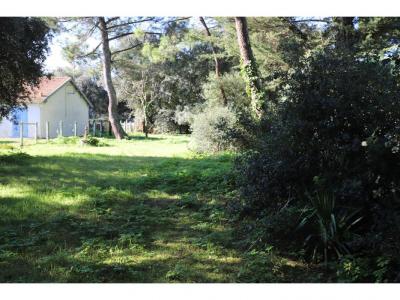 Vente Terrain SAINT-GEORGES-D'OLERON 17190