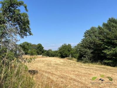 Vente Terrain CHATEAUNEUF-LA-FORET  87