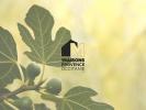Annonce Vente 4 pi�ces Maison Fare-les-oliviers