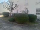 Annonce Location 4 pi�ces Appartement Fougerolles