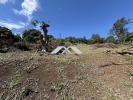 Acheter Terrain Tampon 129500 euros