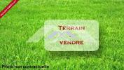 Vente Terrain Tampon 974