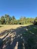 Land MOLLEGES 