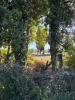 Land MOLLEGES 